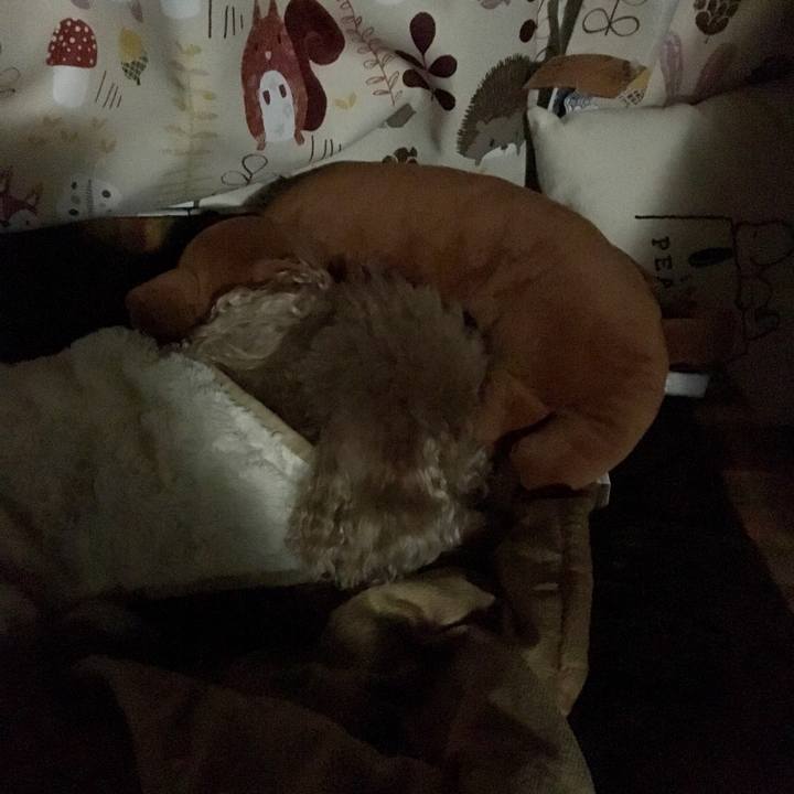 Bab230f1 2a4d 45bf a47e 45439f2e7c9b 1521471268148