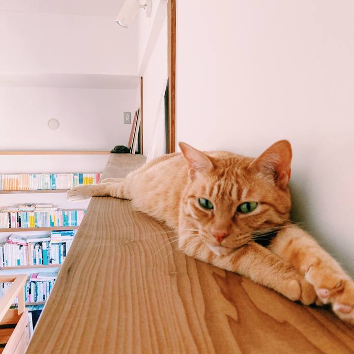 Bab243bf 63e2 47c3 9a52 9b6c168adc1d 1595047470682