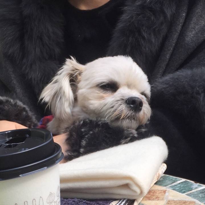 Bab24401 4e60 420d 9206 fed110d15ffe 1518864916459