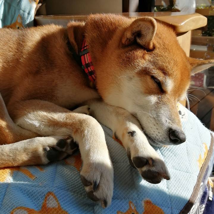 Bab2be77 fe88 496f 91c3 032ed0531175 1641730668465