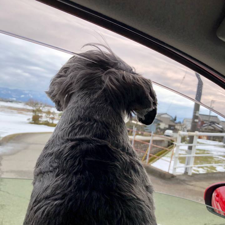 Bab2fcb4 dd6f 4468 a8a2 1184f1e7eba4 1643521457001