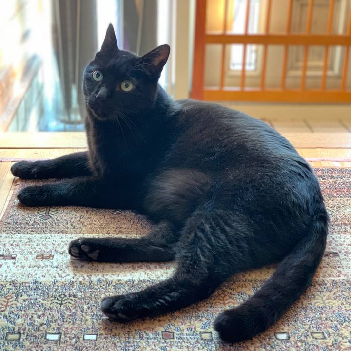 Bab31071 e091 4dfd bca9 5004229d5448 1582936878156