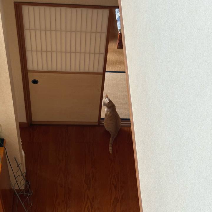 Bab3119d 4ed5 40c6 b5cf 3a5630b12b16 1750203128059