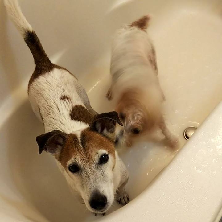 Bab325a4 f1a1 4e39 ab9d 91096352e0af 1538293419960