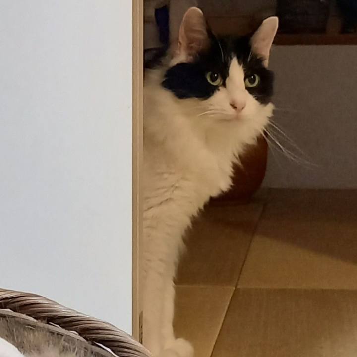 Bab34b37 80b3 4103 91a5 20cc2984e7f3 1660993119214