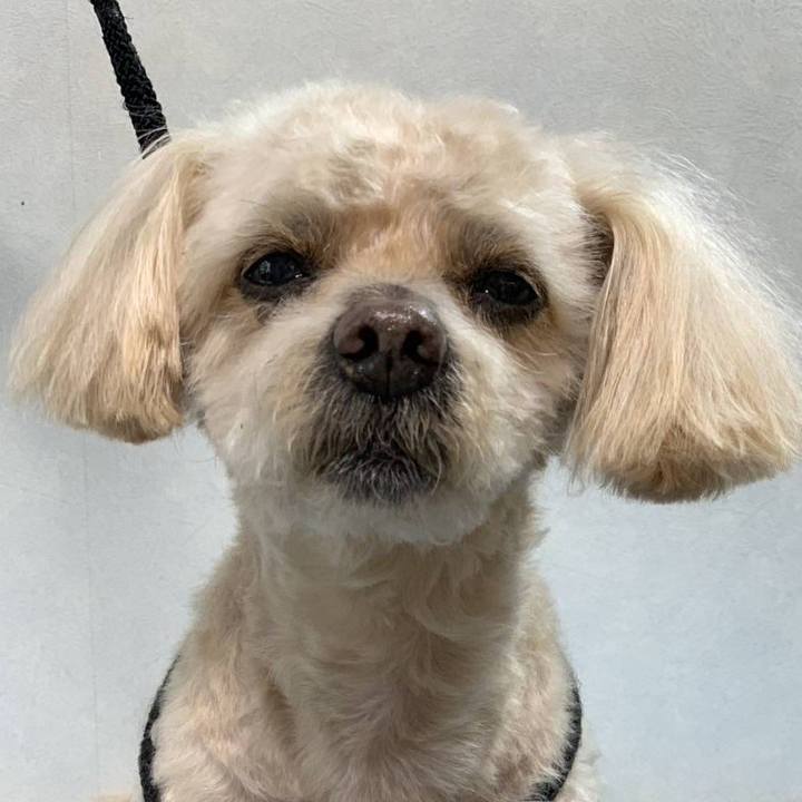 Bab40717 e4c9 43a7 b23a 7285ad04c699 1745752417316