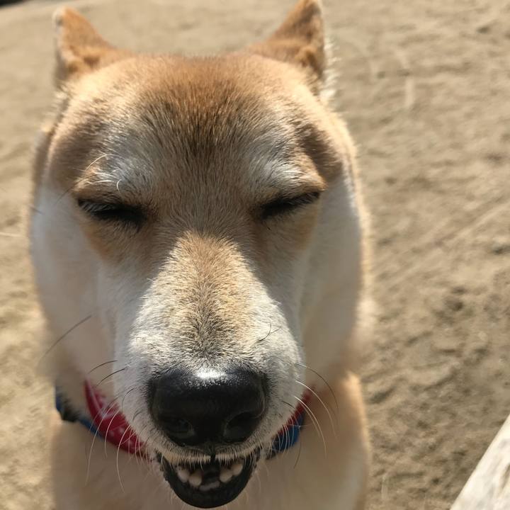 Bab409d3 80bd 4860 9179 7312b248ab05 1517193240587