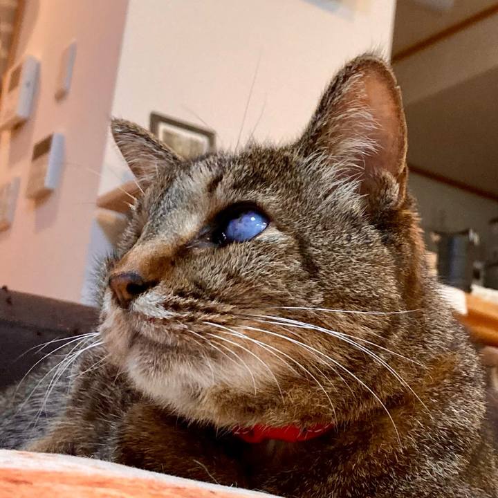 Bab42293 8e7a 4607 b164 dc78e2e0467b 1647785784791