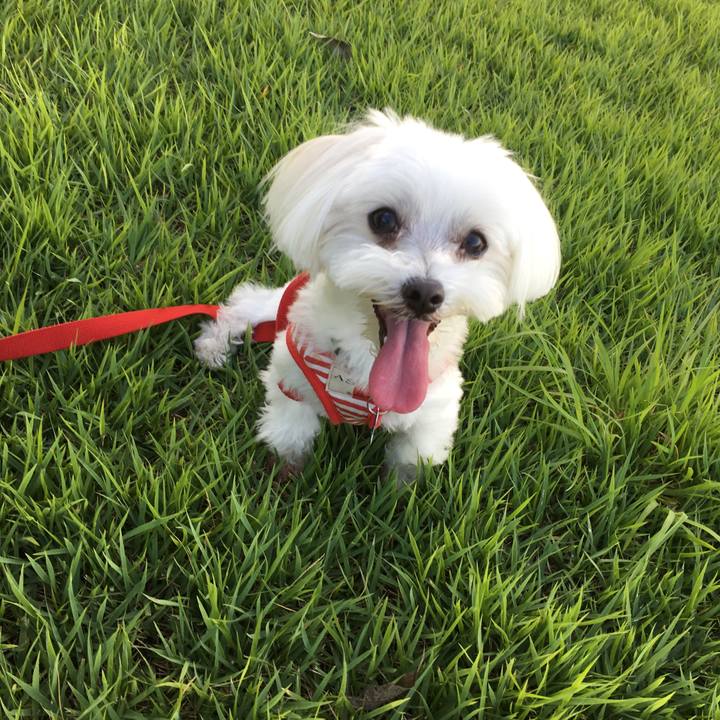 Bab430fc a6a0 4aa0 9e41 5362e6a52fae 1532856353109