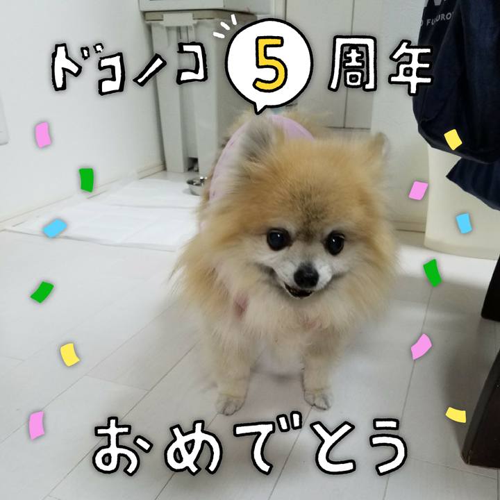 Bab481f8 4b45 466d aab8 ee503bb2cd57 1622866152508