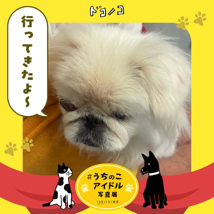 Bab48337 3deb 4700 9717 856644d8fa37 1761302556913