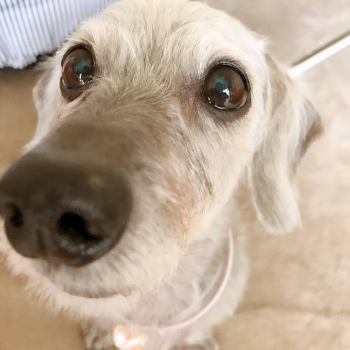 Bab48ac2 a34f 438d a19b 6ca137a1cf13 1532331708145