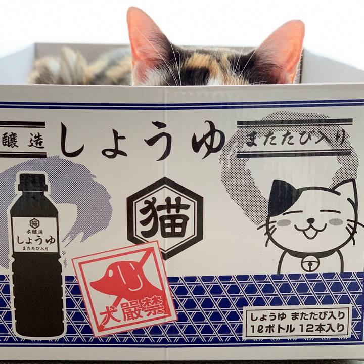 Bab4b121 63c9 4acc 9a9f 5a6715de148d 1565399128646