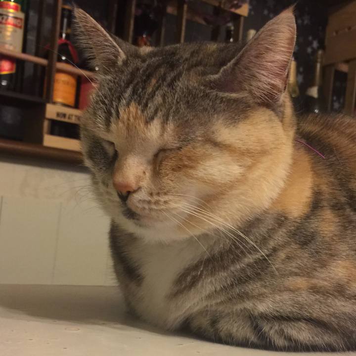 Bab4ea31 1fa4 4de5 a81c 413b7519fd57 1552921363273