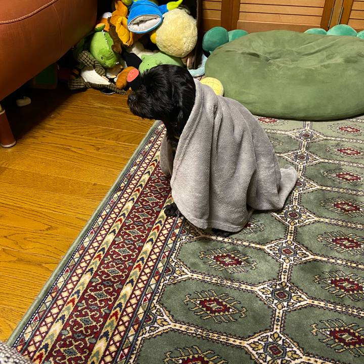 Bab507b0 d387 45a2 a60d bbb80402f49d 1590581457855