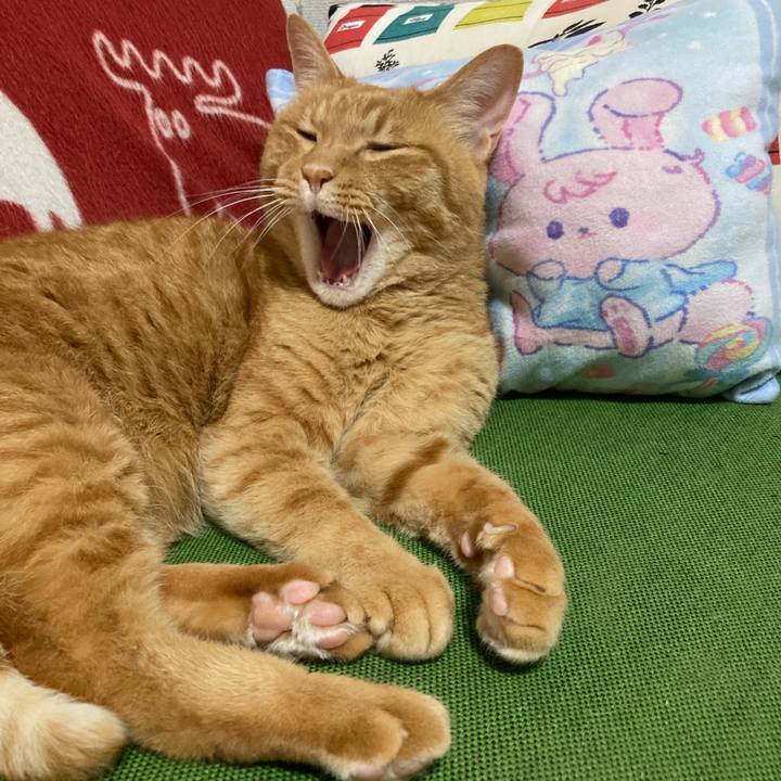 Bab5241a dede 4ecb a2a6 182f825e6c69 1755860442434