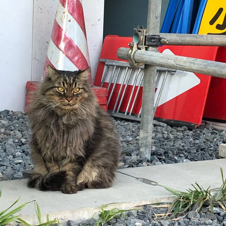 Bab5310f 5262 49e3 8cd0 4ee3b60af151 1546657741465