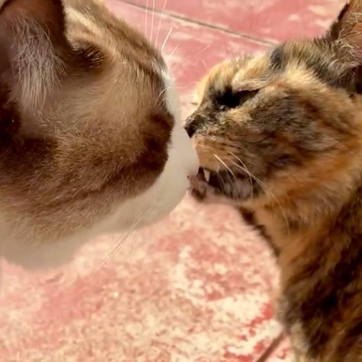 Bab543ac c48d 4a53 bd47 4c421282a215 1763697783958