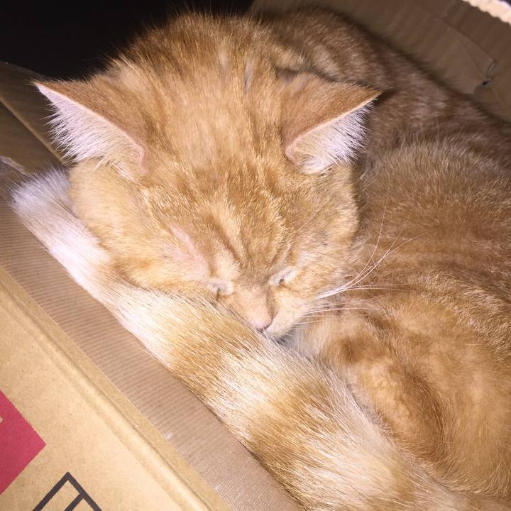 Bab55048 27a6 45e6 9f86 e6048a455fe8 1547483609148