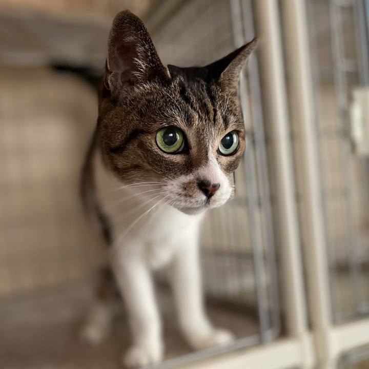 Bab550a7 5a3f 4003 94fe d6f6b0d10f55 1661390448986