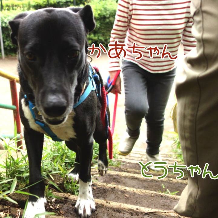 Bab55e3f c926 4b1e 941e 41fe1ceda8cc 1622418703747