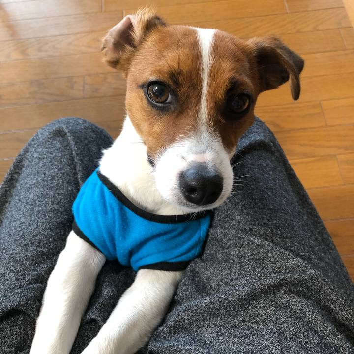 Bab5745f 55e6 4f90 8ccd 0a704458e2d0 1528326065657