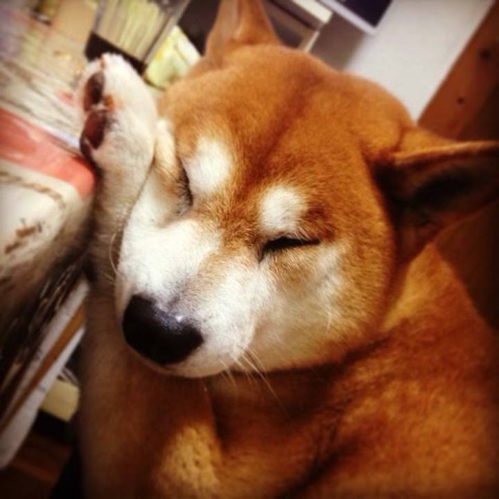 Bab586ed c904 438d 839c ea6d92cd4cee 1637917258351