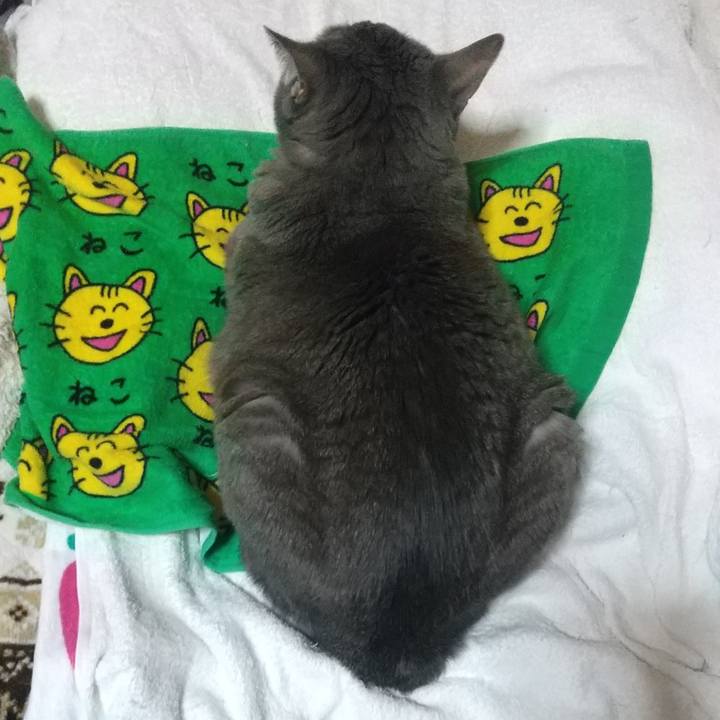 Bab59626 a5b4 426c a3d8 e98bb8fb1b63 1610835006546