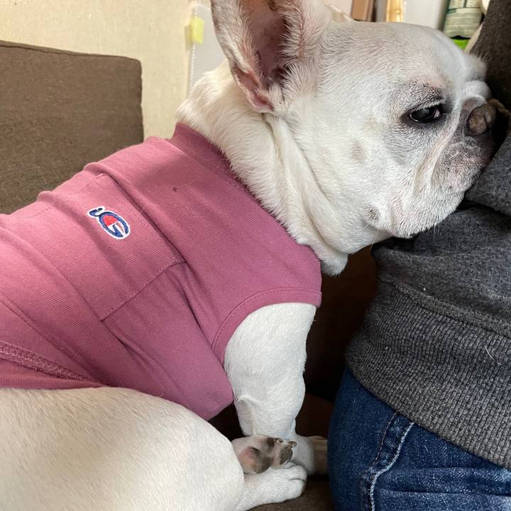 Bab5b047 ddad 4e7d 93b6 2dbc6a26bc6e 1746572555882