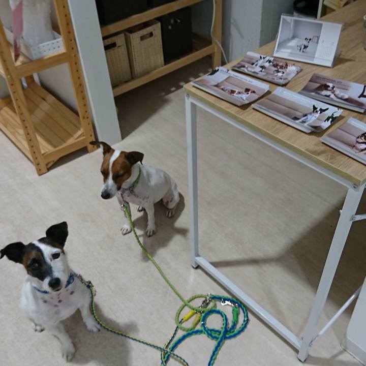 Bab5b44c b543 4cea acdd b155f1acb043 1568451287226