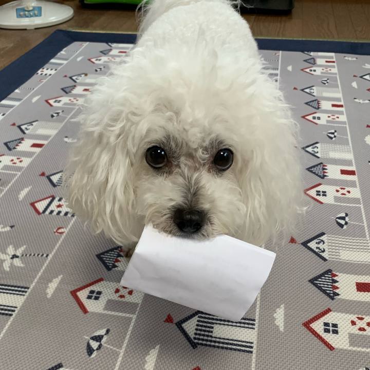 Bab5eca2 d37c 4075 8055 54f214fee113 1625782817712