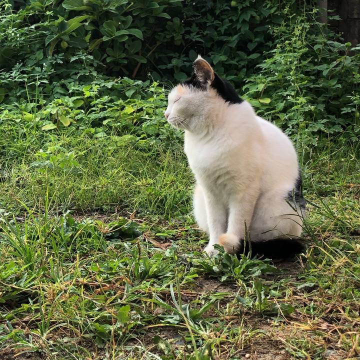 Bab62cd1 7247 4e37 9bc3 8c198a870a83 1599689783127