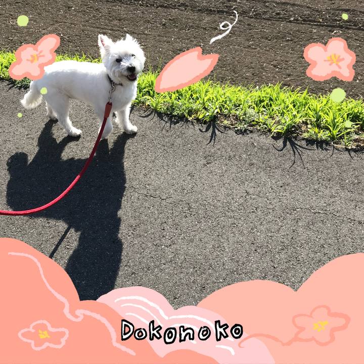 Bab63b20 64bb 4739 a9e7 511350821f0f 1775353270103