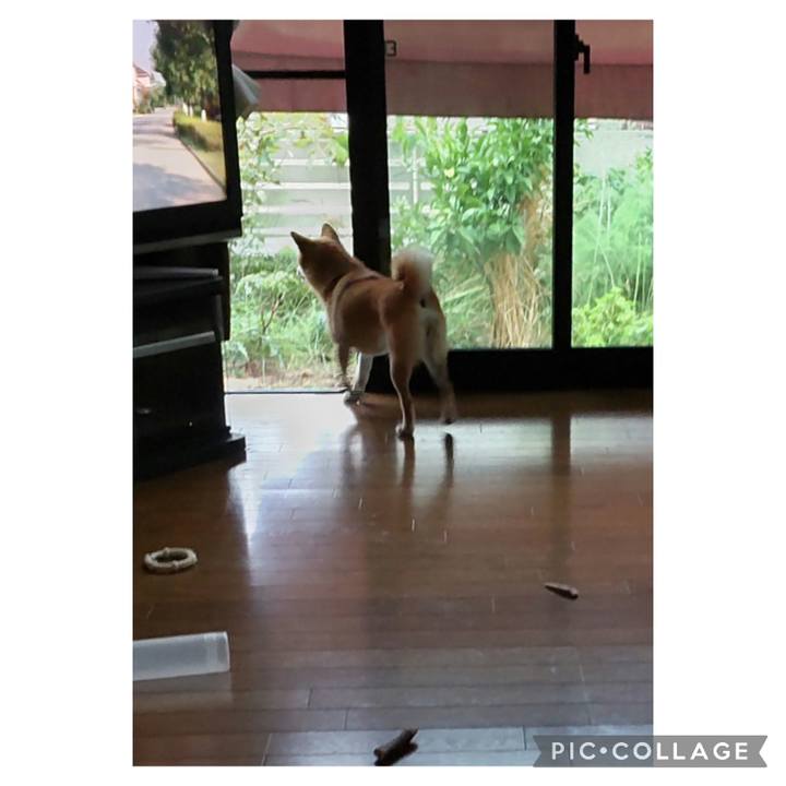 Bab6556e 661c 4a9e 850d a564d22c174b 1692762921487