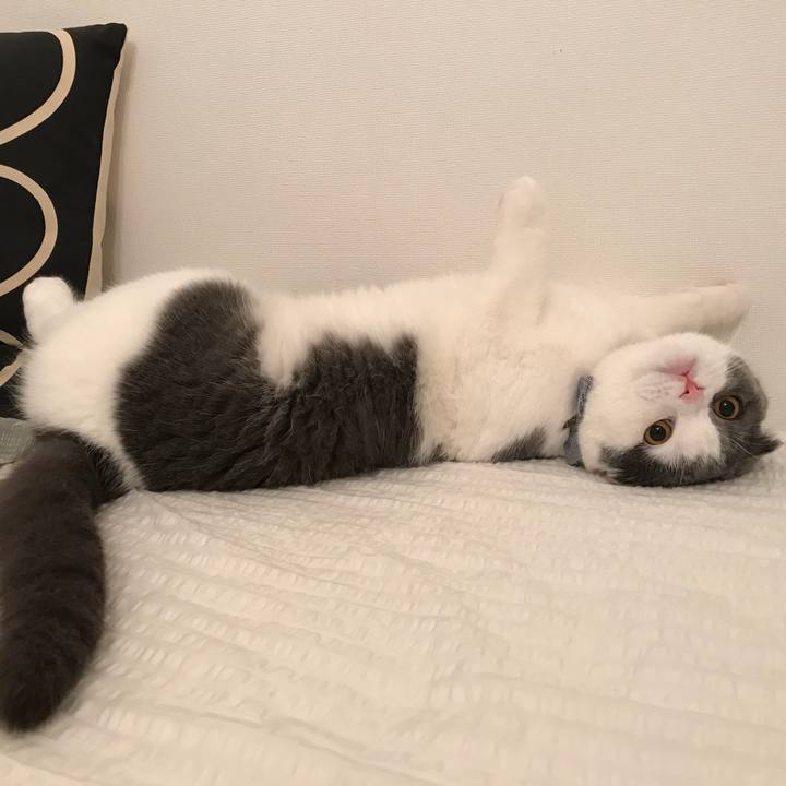 Bab6d8c1 8f47 4e49 86d8 62e75fff79e0 1522838016227