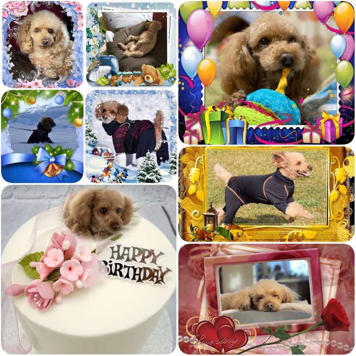 Bab6ee39 6d61 4827 b36e 8d560cc68dbf 1608131200409