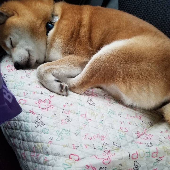 Bab72661 dcab 42e4 8116 7020ffe595d1 1570916930064