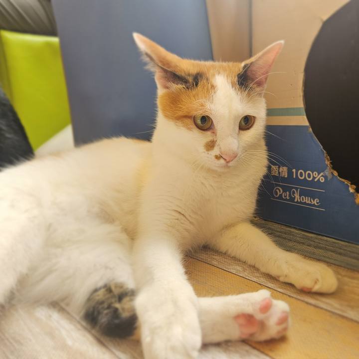 Bab74f35 6fff 4d8a 8e4a 7c7c595e3996 1754879827621