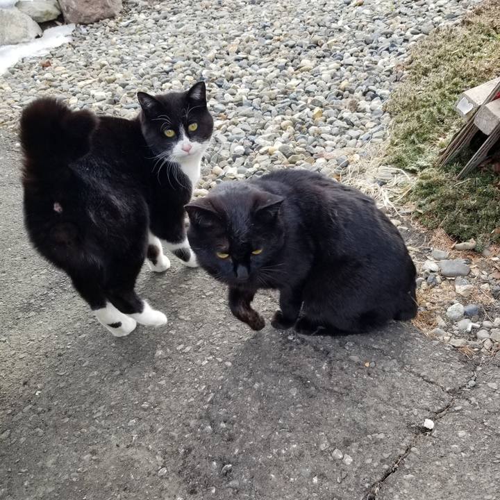 Bab77e77 3fcf 46ea b3cf 45252f5c8f47 1678982594664