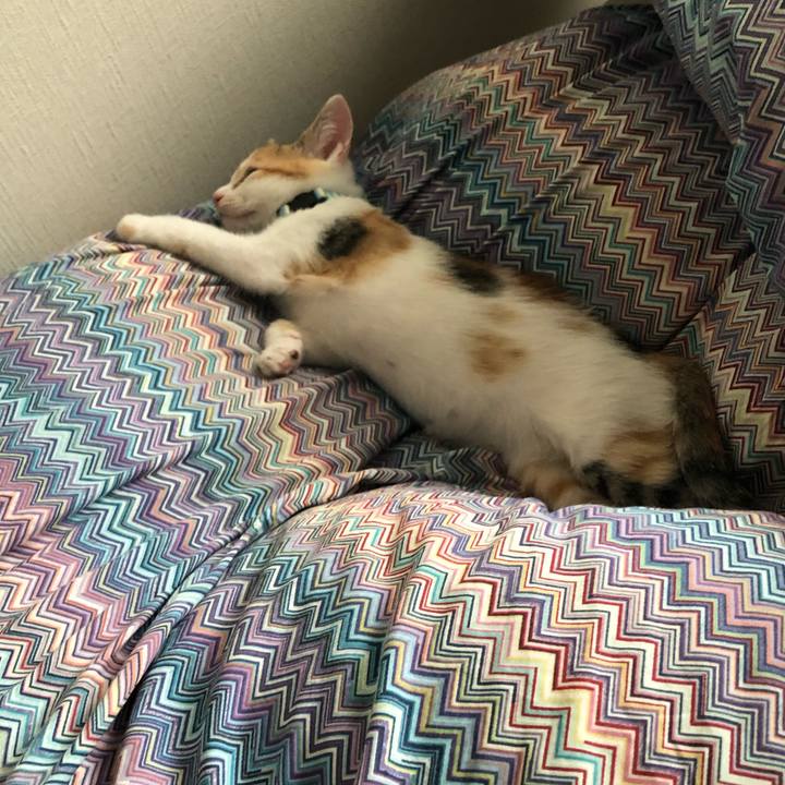 Bab79f42 530f 4326 90fb 7eb1445e1d5e 1562997143111