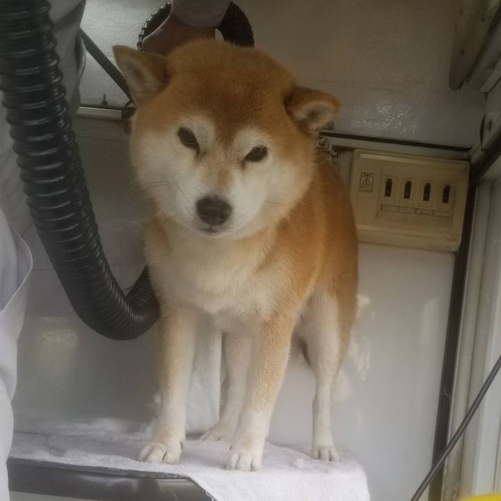 Bab7d8c4 08bb 4e9e a31d 548f15e12549 1579834647695