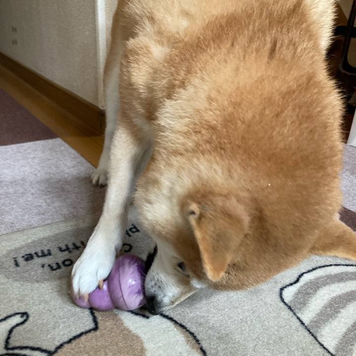 Bab857e2 4c19 4601 b30e dbace7a9381e 1614950380593