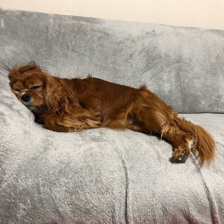 Bab887a5 f150 4fbe b0fd 5a9ec98b22e5 1643374853457