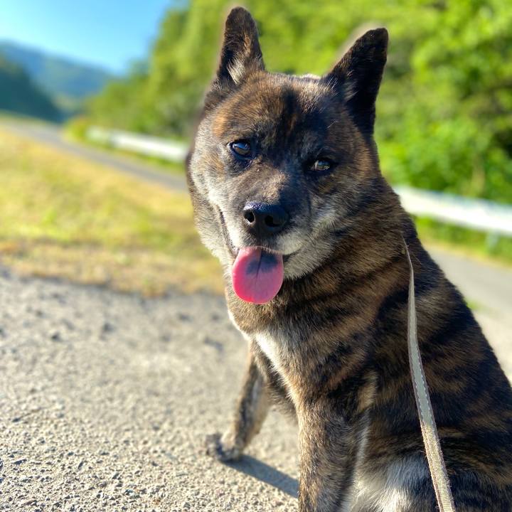 Bab8cb99 fe9b 4244 b522 f3938ea33e1f 1591576800351