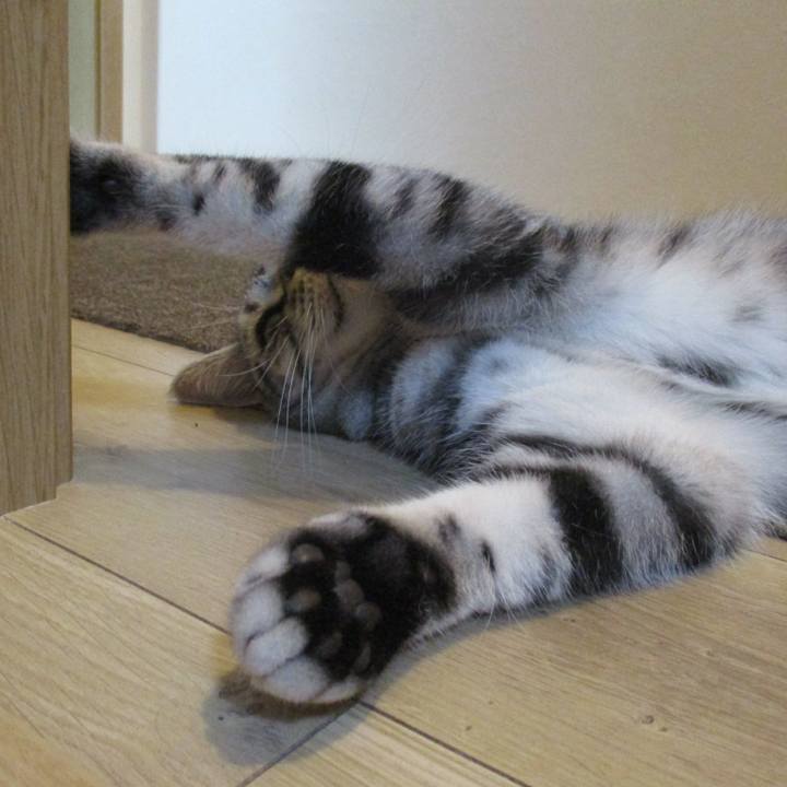 Bab8d1e8 df27 48e4 86c8 4b46689d8963 1568285948102