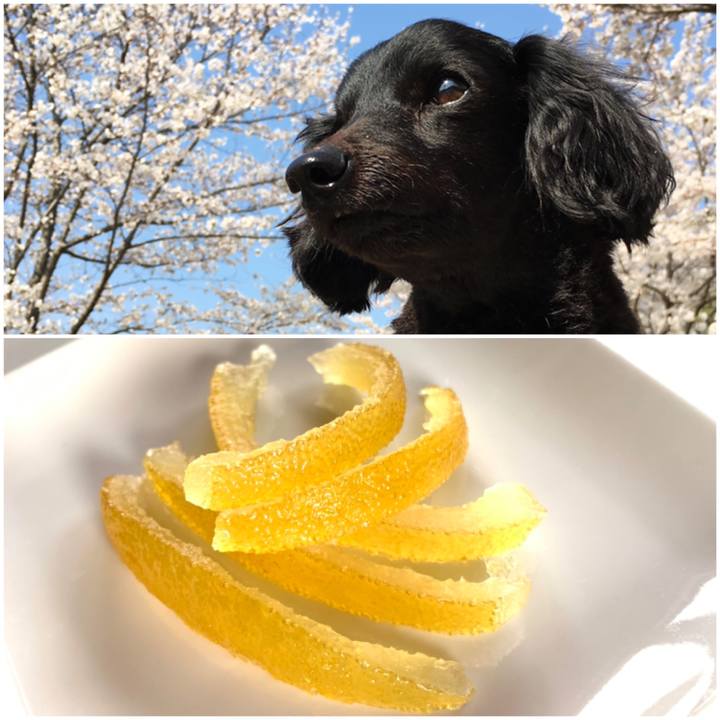 Bab8d29e 92d5 4cca b2d9 70bcfea2a484 1583891598055