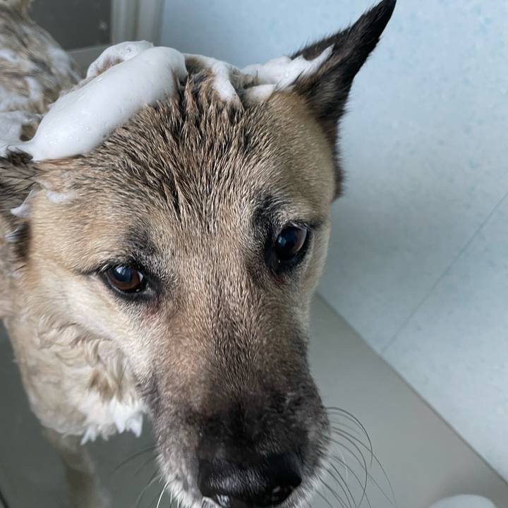 Bab95ab4 af9c 4a89 a572 ad32e87f027e 1707554222893