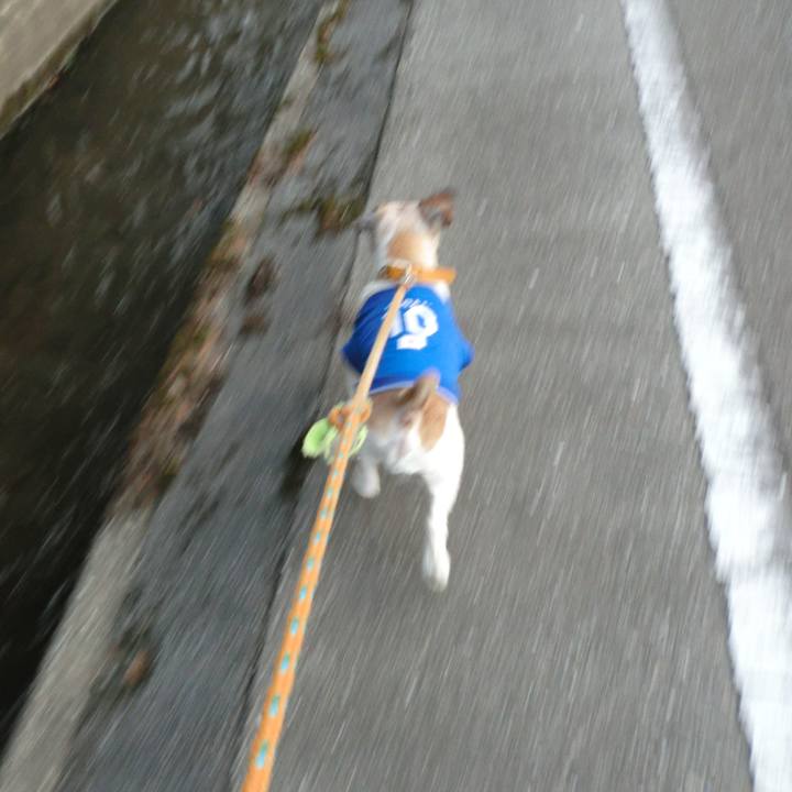 Bab962e8 555c 4a55 8d73 9ffe7283e186 1573985895447