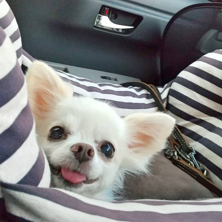 Bab98844 fcd5 4035 91ef 6f38d9819bcc 1599648835302