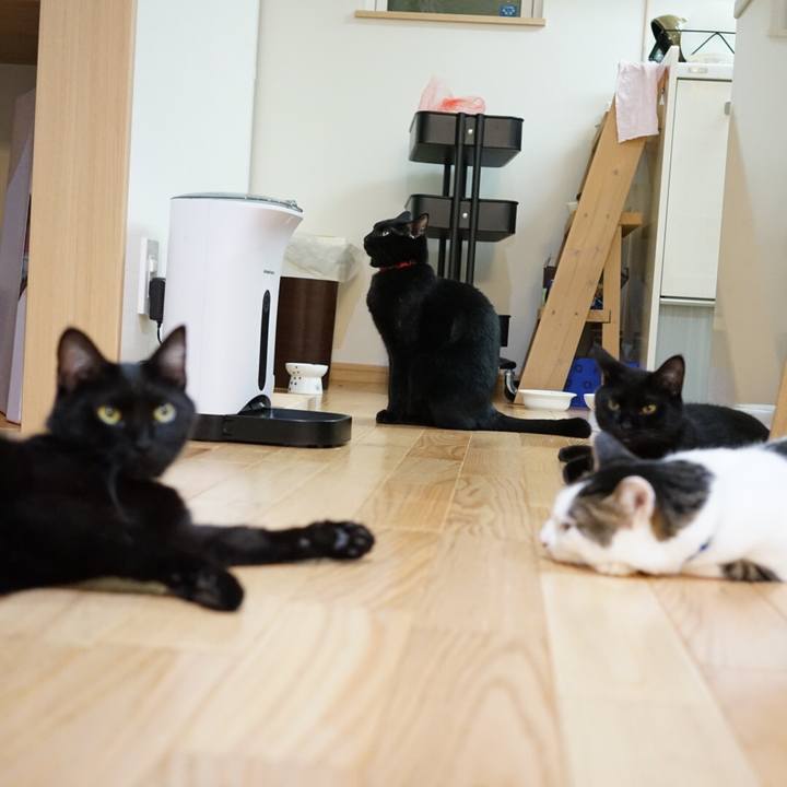 Bab9acd1 0946 486c a0c3 41cd70f85928 1538920723379